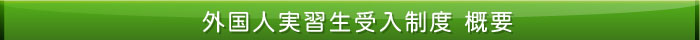 外国人受入事業の概要